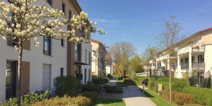 Wohnanlage-Vorgärten-dobeStock_201474030