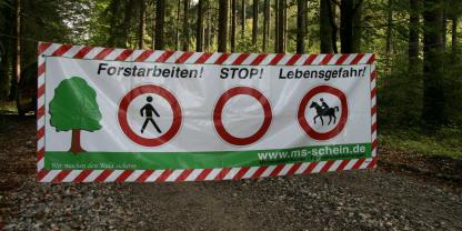 Waldarbeit ist gefährlich. Doch wer haftet, wenn Selbstwerbern im Wald etwas passiert?