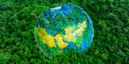 Der Boden unter diesen Bäumen könnte im Klimawandel eine bisher ungeahnte Rolle spielen.