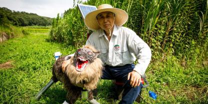 Japanische Landwirte setzen auf Monster-Wölfe bei der Widtierverscheuchung.