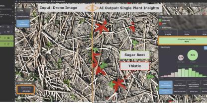 Die Plattform Pheno-Inspect FarmAnalyzer™ unterscheidet zwischen Nutzpflanzen und Unkraut.