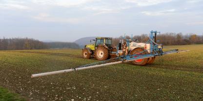 Pflanzenschutz in Getreide (SYMBOLBILD)