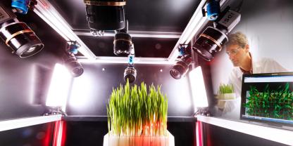 Herbizidtest im Labor