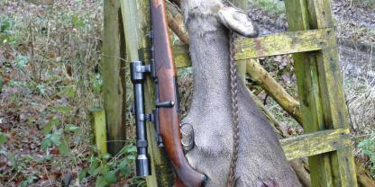 Noch heute begeistert der Mannlicher-Stutzen als zuverlässige, bestechend handliche Rehwildbüchse.