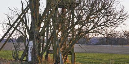 Wenn man auf einige Details achtet, kann die Lebenszeit der Kanzeln im Revier deutlich verlängert werden.