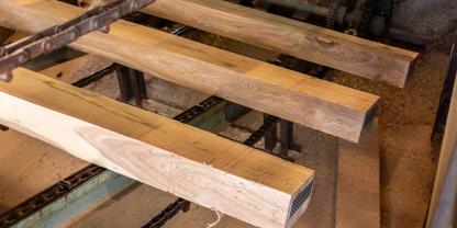 Heimisches Laubholz soll wieder zurück ins Gleisbett. Das fordert unter anderem das Sägewerk Lacker Nature und zeigt die zahlreiche Vorteile auf - auch von Käferholz.