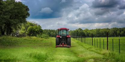 Gras-mähen-Zaun-AdobeStock_222813683