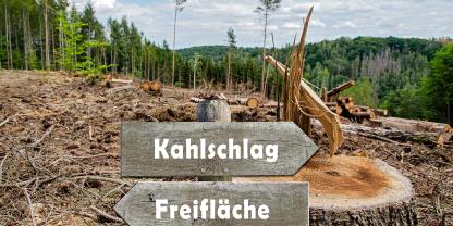 Abb. 1: Sprache wirkt: Es macht einen Unterschied ob von einem Kahlschlag oder einer Freifläche gesprochen wird.