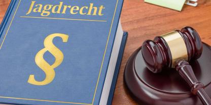 Aktuell geht es bei der Jagdverordnung in Rheinland-Pfalz nicht weiter (Symbolbild).