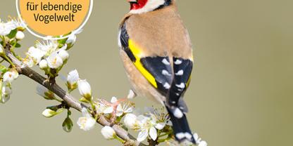 kraut&rüben Spezial Titelbild