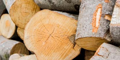 Wie hängen Holz und Klimaziele zusammen? 