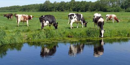 Ein Referentenentwurf schlägt vor, Naturschützern ein Vorkaufsrecht auf Moorflächen einzuräumen.