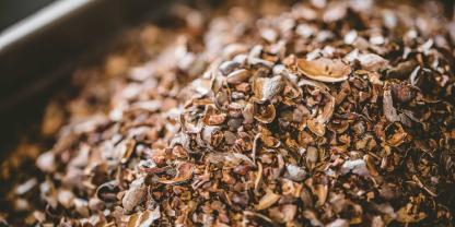 Mithilfe von Honig lassen sich die Schalen von Kakaobohnen sinnvoll nutzen.