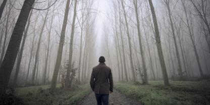 Eine Umfrage wollte von den Menschen in Deutschland wissen - wie geht es dem Wald? Die Einschätzungen zum Zustand sind hier sehr unterschiedlich.