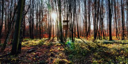 Ab 1. April gelten für die Jäger in Hessen neue Regelungen.