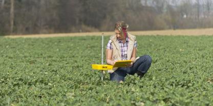 Die Temperaturen sind jetzt deutlich gestiegen, die Stängelschädlinge fliegen ein. Kontrolle ist jetzt das A und O.