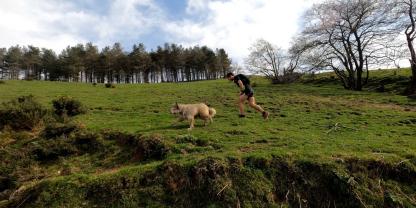 So bitte nicht: Querfeldein und mit unangeleintem Hund durch die Botanik.