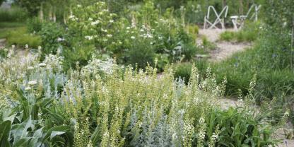 Sonnige Flächen und Beete können Sie mit Sandmulch bedecken. Das reduziert den Pflegeaufwand und lässt Stauden prächtig gedeihen.