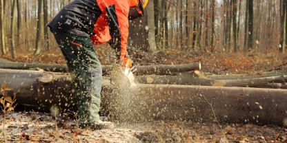 Wald-Bäume-fällen-AdobeStock_47447310