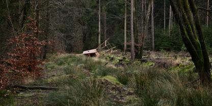In Sachsen haben wohl Anhänger der ALF 75 Hochsitze zerstört.
