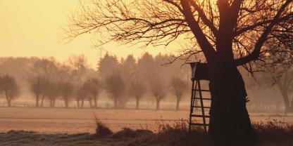 Scheint die Sonne über Brandenburgs Jäger nach einigen Tiefschlägen in den vergangenen Jahren bald wieder?