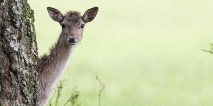 Arjes, Heiko_20130530-DSC_4738