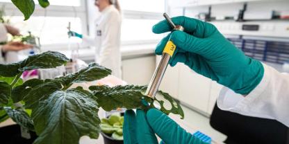 Forschung für Biostimulanzien im Labor auf dem Hanninghof