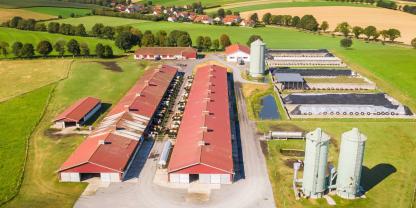 Ein Großbetrieb in Brandenburg produziert 100.000 Liter Milch jeden Tag. Ein Agrarfilmer hat die Bauerngesellschaft Ziltendorfer Niederung besucht (Symbolbild, mit KI generiert)