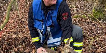 Das Reh und sein Retter. Die Feuerwehr musste ausrücken, um das Reh zu befreien.