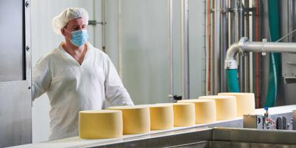 Verarbeitete Milchprodukte wie Käse oder Schweinefleischprodukte dürfen deutsche Unternehmen wieder in die USA und Kanada ausführen. Die MKS-Importsperre ist aufgehoben.