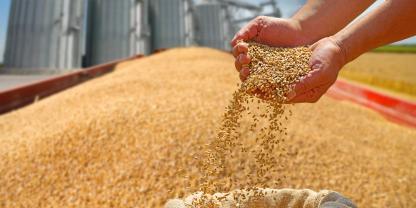 Getreide-Silos-AdobeStock_728776719