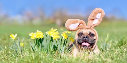 So bunt wie Ostereier sind auch die Osterbräuche dieser Welt.