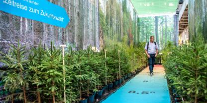 Ein Leitthema der INTERFORST ist der Gesunde Zukunftswald.