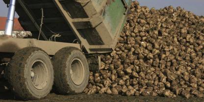 Rübenernte und Transport liefen im Herbst weitgehend problemlos - der Zuckermarkt steht unter großem Druck. Nun will die EU mit einem Importstopp auf zollfreien Zucker Entlastung schaffen.