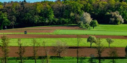 Acker-Wald-AdobeStock_1413382828
