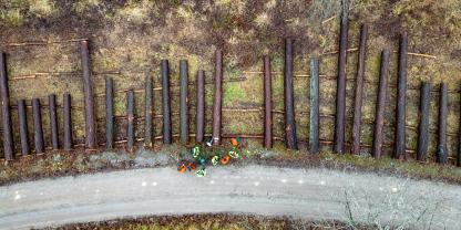 Im Kielwasser der hohen Fichtenpreise erzielen die Waldbesitzer derzeit auch bei Kiefern-Stammholz in der Spitze über 100 €/Fm.