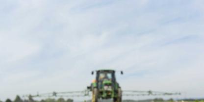 In ihrer Jugendphase sind Rüben besonders konkurrenzschwach. Die Bestände müssen daher sauber gehalten werden. Das wird zunehmend schwieriger.