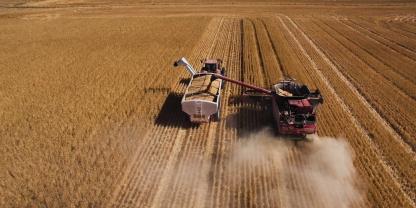 Australien-Getreideernte-AdobeStock_231287067