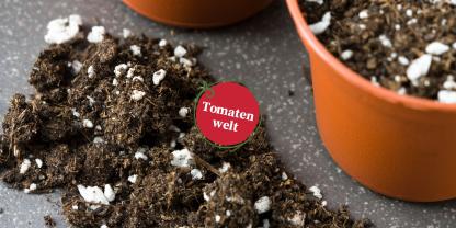 Tomatenwelt Folge 5 Header