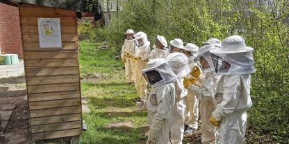 Eine Kindergruppe beobachtet am Bienenstand das Flugloch. Das genaue Hinsehen liefert wichtige Hinweise zum Zustand der Völker und zählt zu den grundlegenden Fähigkeiten beim Imkern.