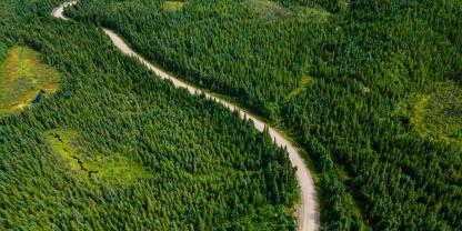 Waldstraße-AdobeStock_1518733301