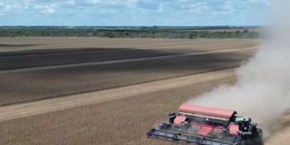 Der NEXAT bei der Ernte in Brasilien