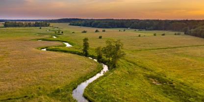 Wald-Wiesen-Bach-AdobeStock_636226502