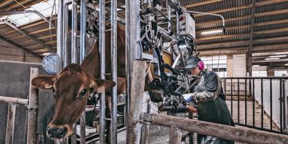 Vollhydraulische Klauenpflegestände sorgen für angenehmes Arbeiten und lohnen sich vor allem für größere Betriebe.Foto: KVK
