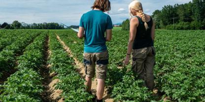 Landwirte stellen trotz steigender Nachfrage nach Bioprodukten nicht um.