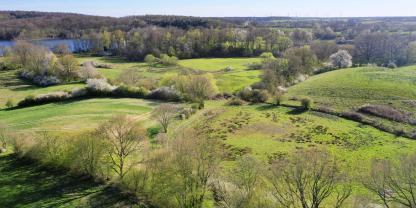 Für die Wiederherstellen von Hecken, Brachflächen oder Moore hat die EU viel zu wenig Geld.