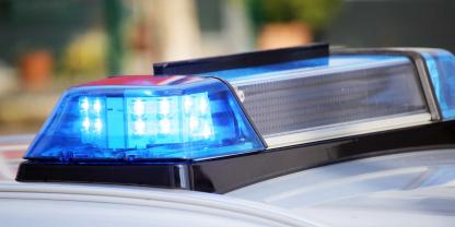 Durch Zufall fand die Polizei scharfe Munition an einer Autobahn.In einem Revier wurden mehrere Rehkadaver gefunden.