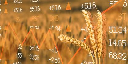 Getreide-Preise-Euronext-AdobeStock_455372326
