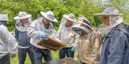 Einen Eistreifen zu schneiden und zu setzen, ist prinzipiell einfach. Es macht aber Sinn, es mal gemeinsam zu üben.