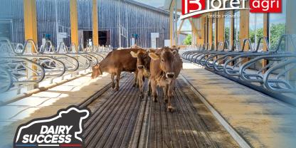 Stallbau in der Milchviehhaltung neu gedacht – mehr Tierwohl, mehr Leistung